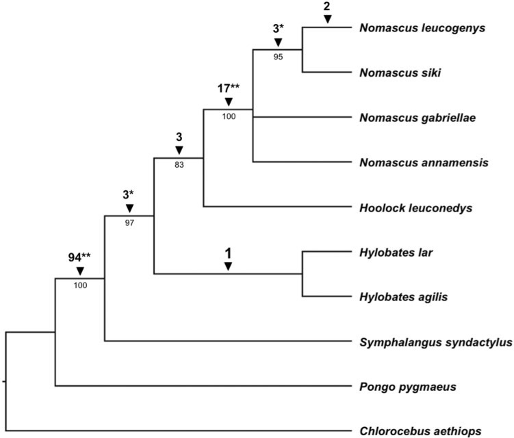 Fig. 4.