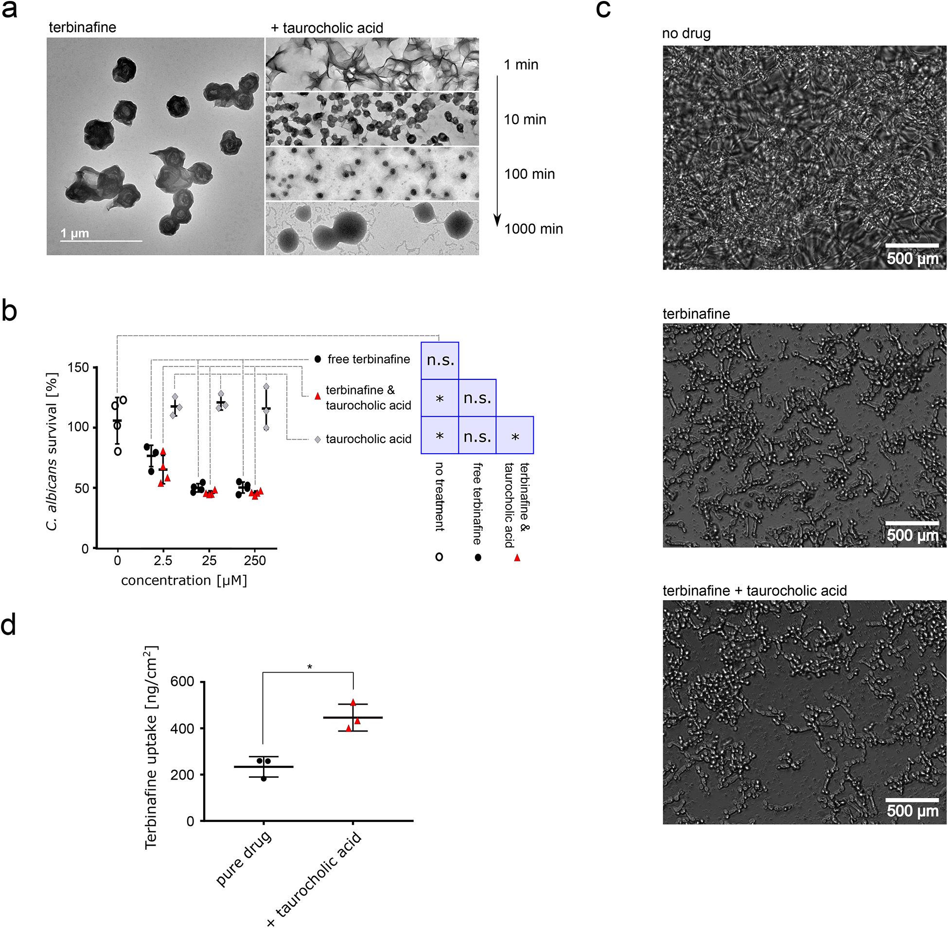 Figure 3: