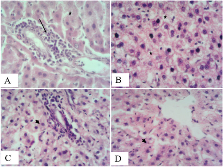 Figure 4