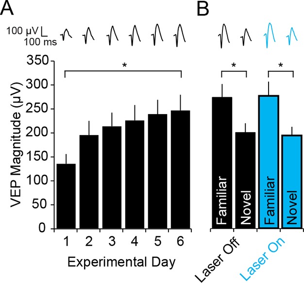 Figure 5—figure supplement 1.