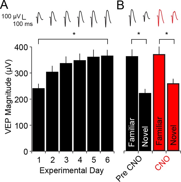 Figure 3—figure supplement 1.