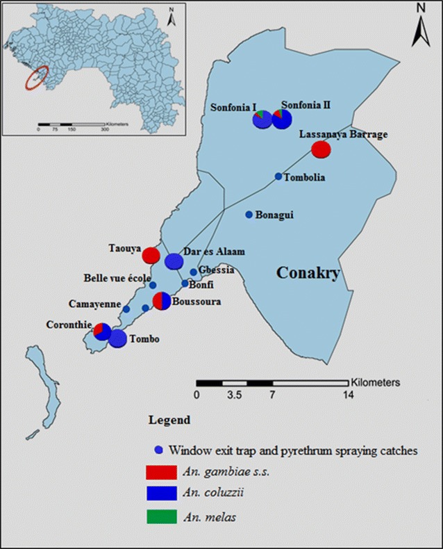 Fig. 4