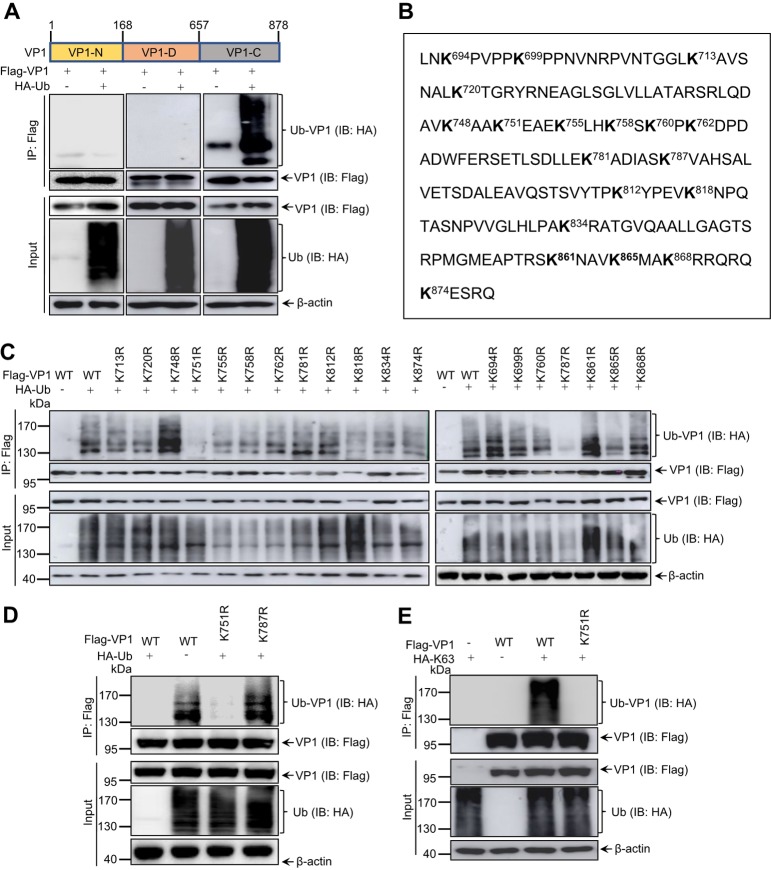 FIG 3