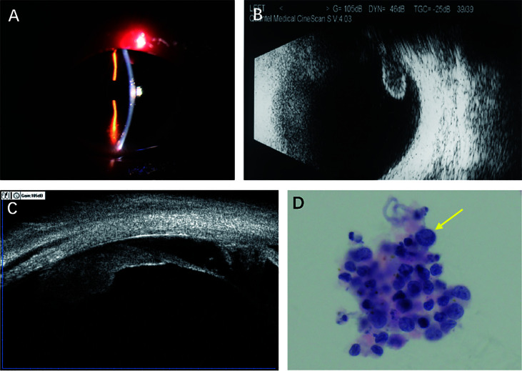 Figure 1