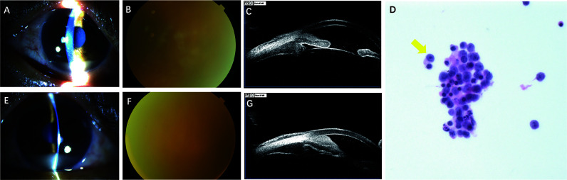 Figure 3