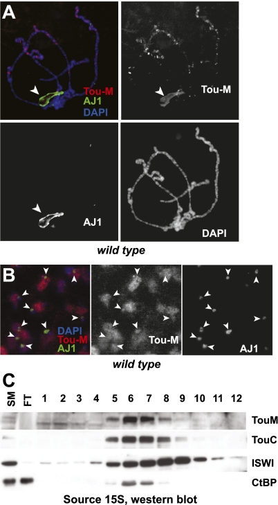 Figure 5.