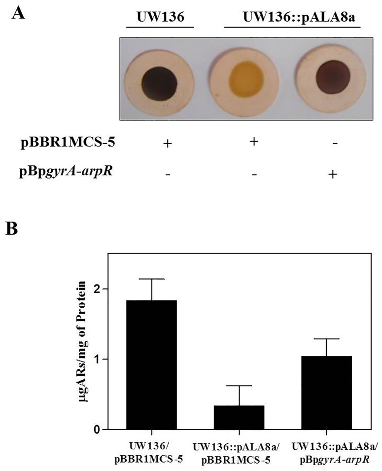 Fig 5