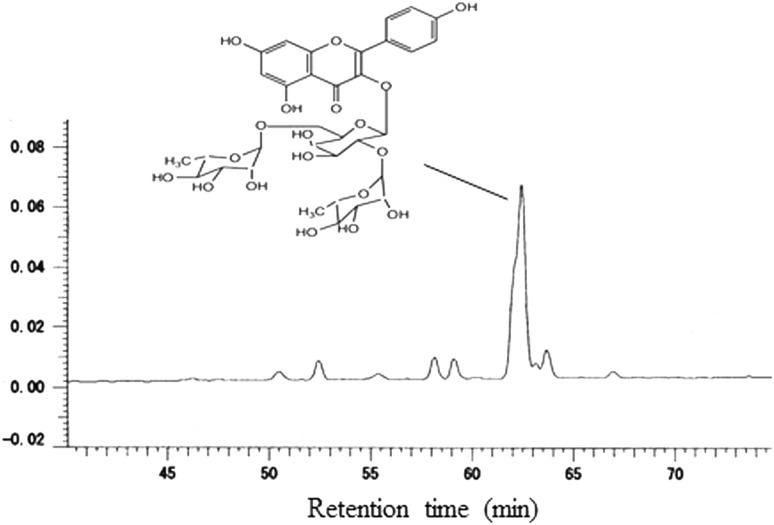 Fig. 1
