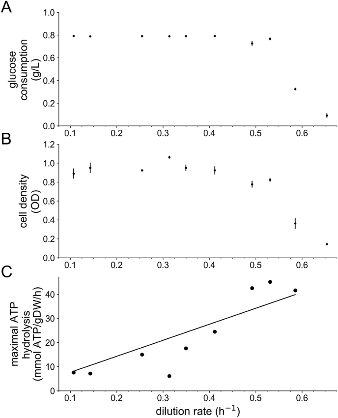 Fig. 2