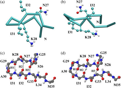 FIGURE 4