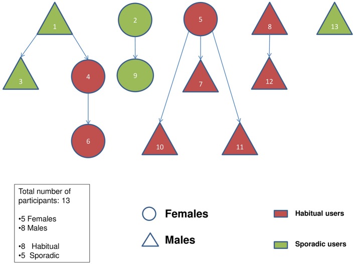 FIGURE 1