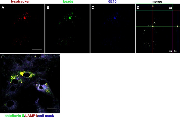 Figure 6.