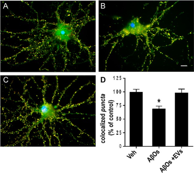 Figure 11.