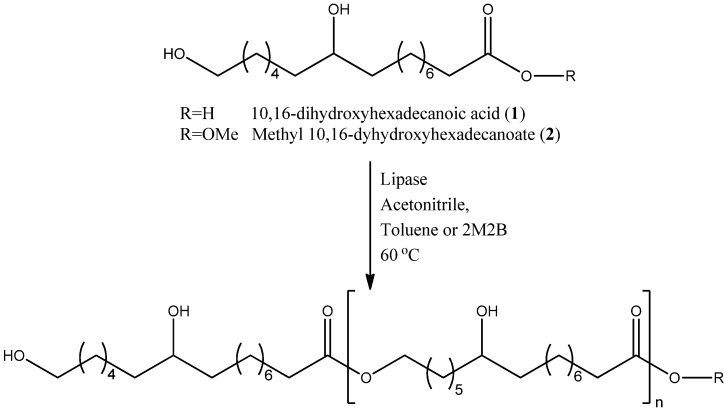 Scheme 1