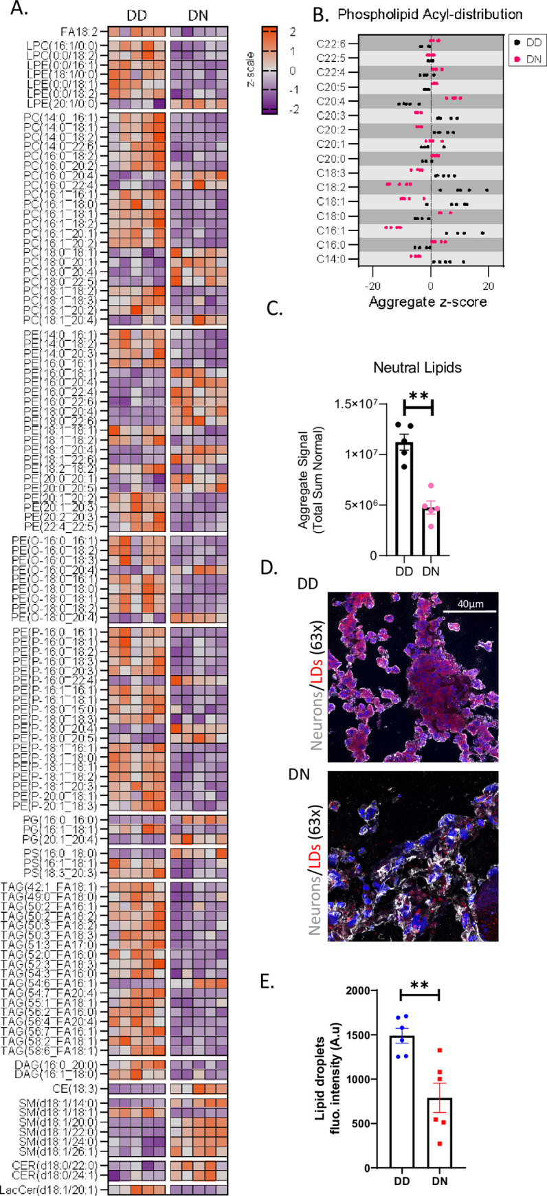 Fig 6