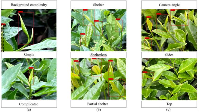 Figure 12