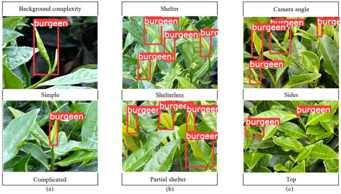 Figure 18