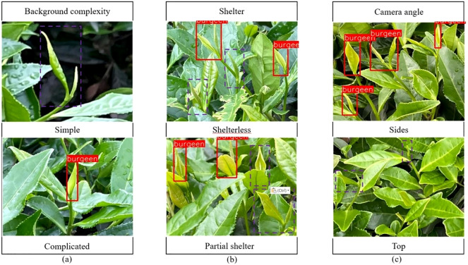 Figure 15