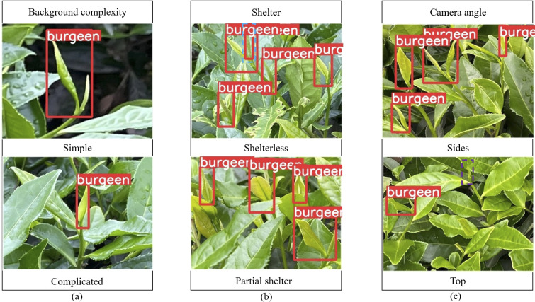 Figure 13