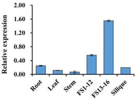 Fig. 2.