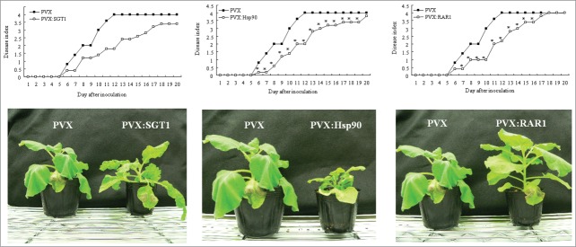 Figure 2.