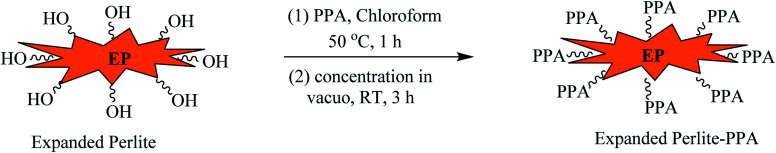 Scheme 5