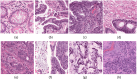 Fig 12