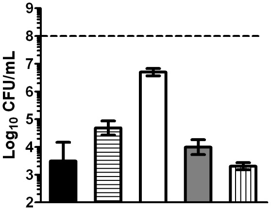 Figure 5