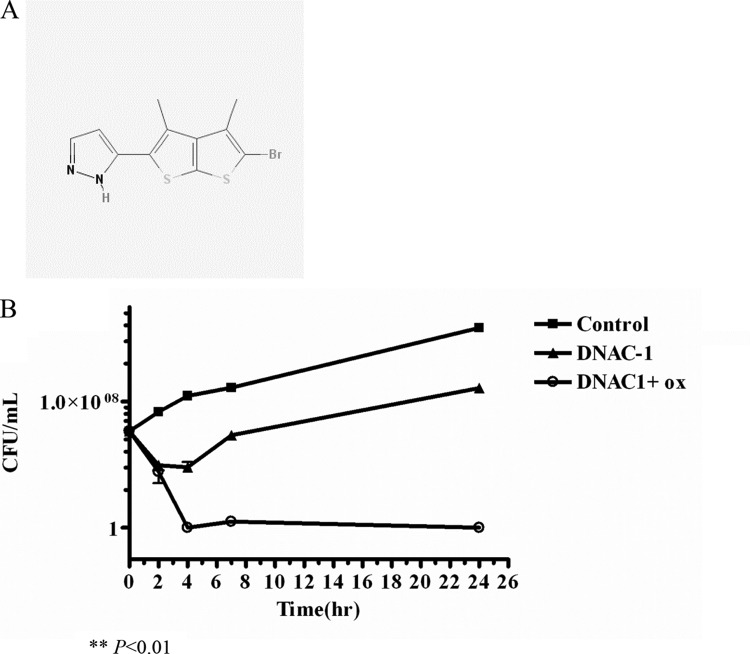 FIG 1