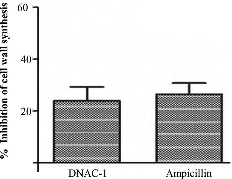 FIG 2