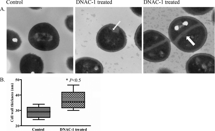 FIG 3