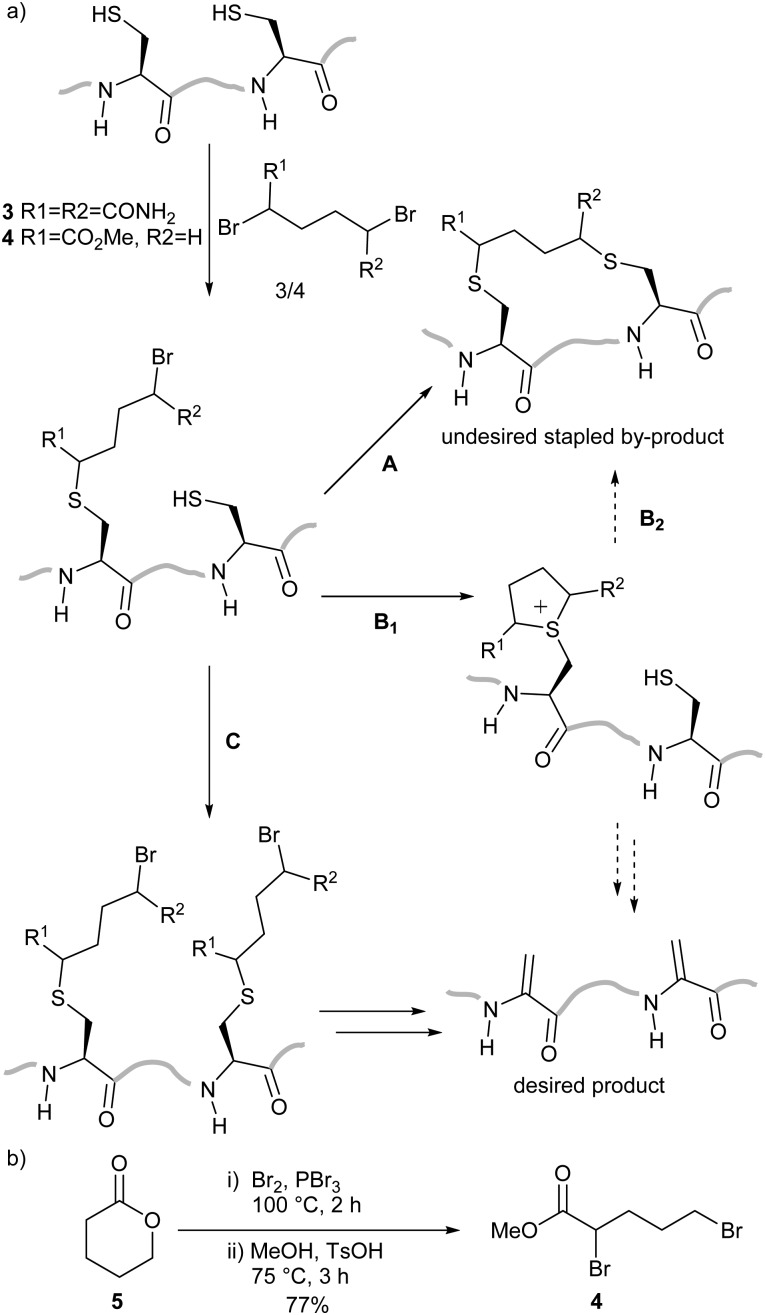 Scheme 2