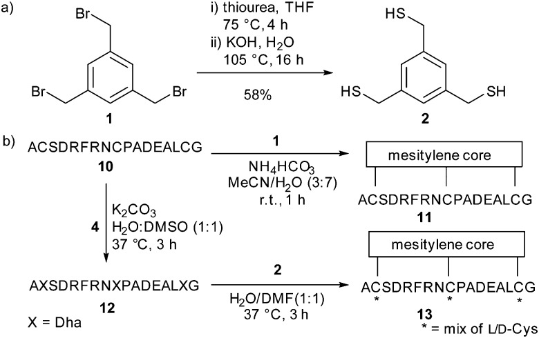 Scheme 3