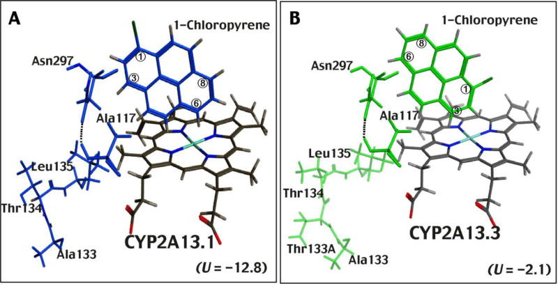 Fig. 10