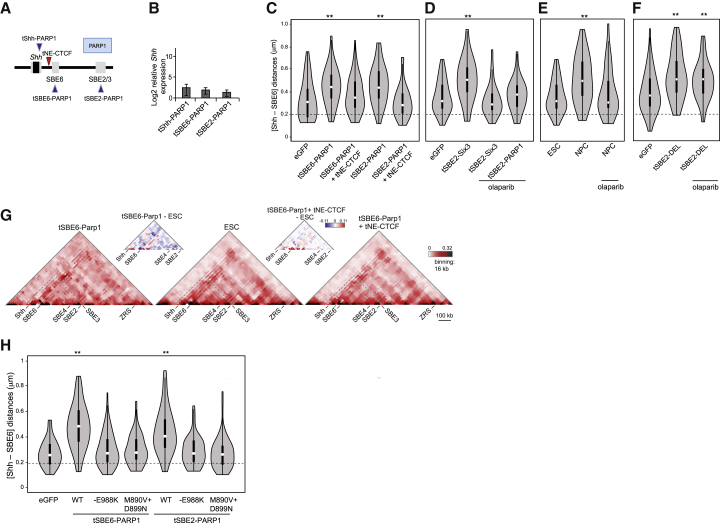 Figure 6