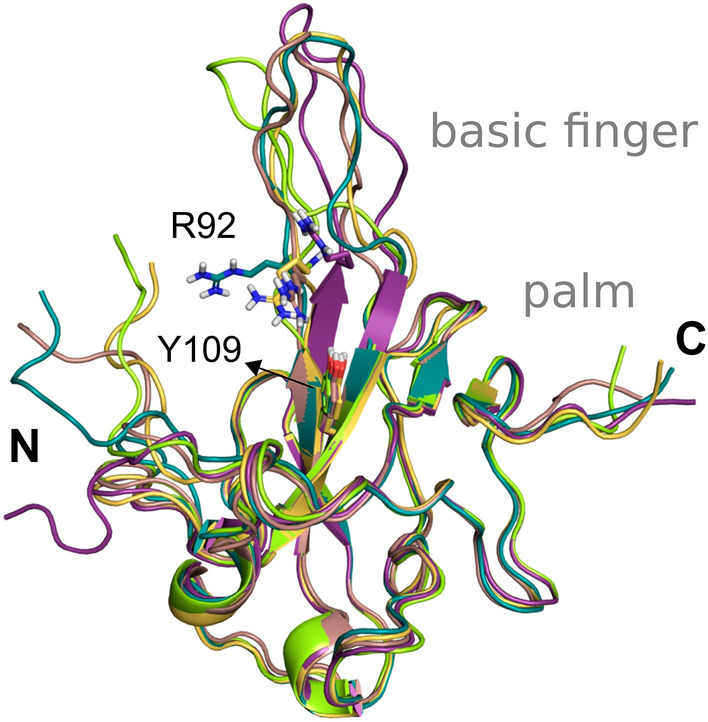 Figure 5