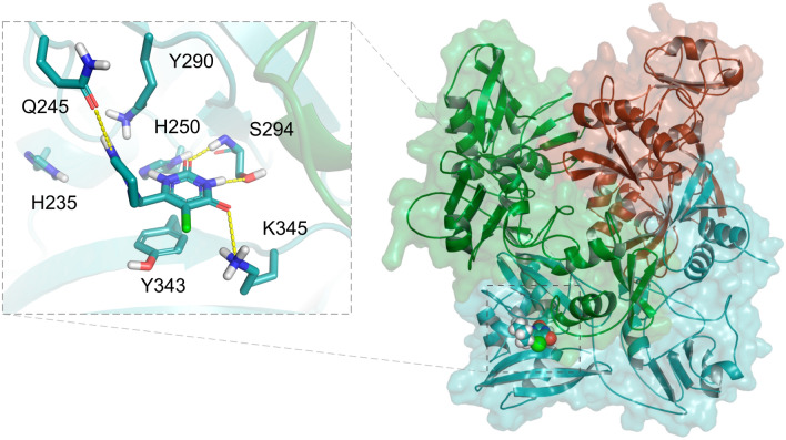 Figure 4