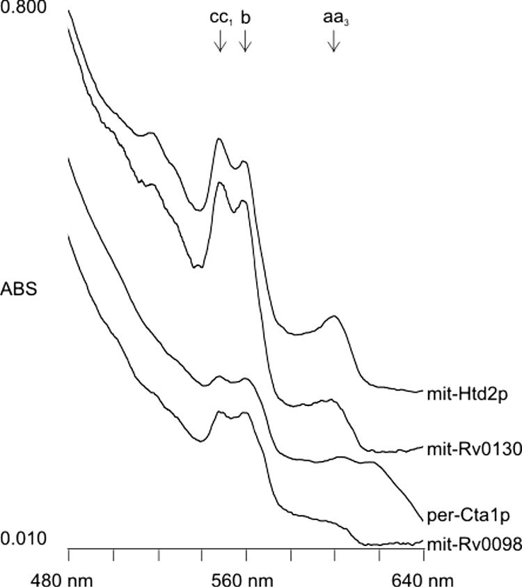 FIG. 2.