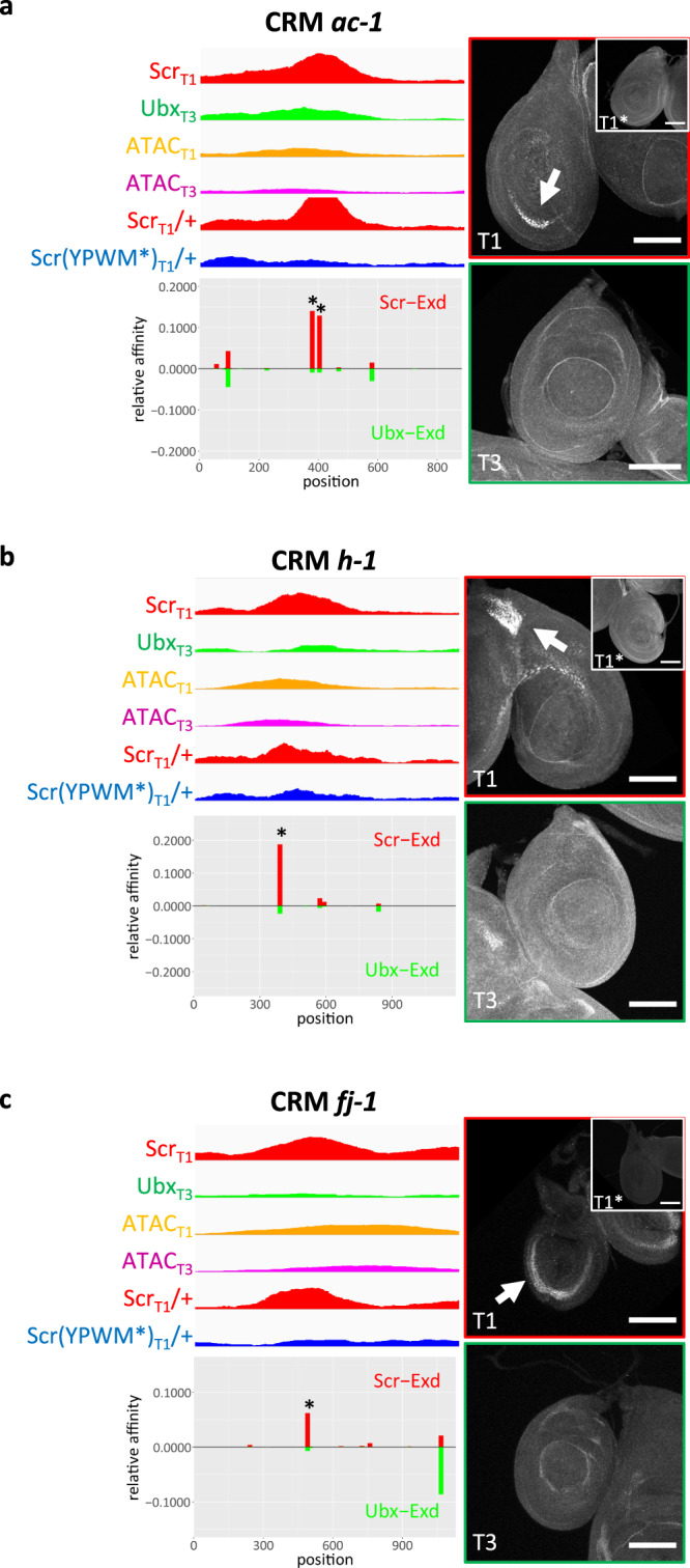 Fig. 6