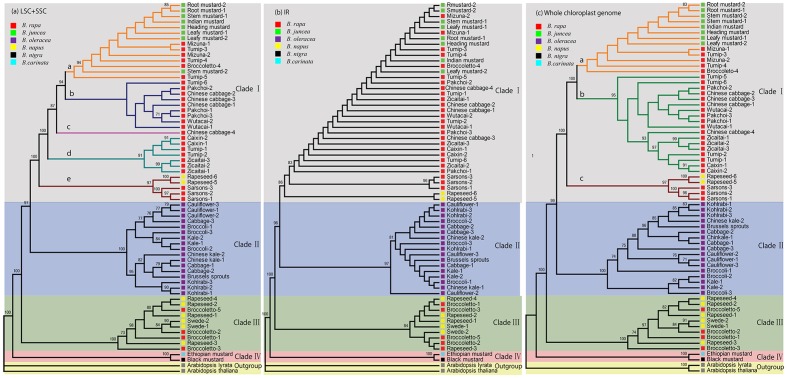 FIGURE 3