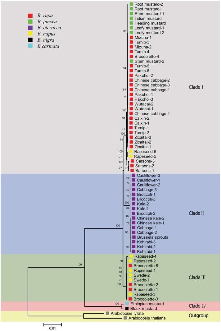 FIGURE 4