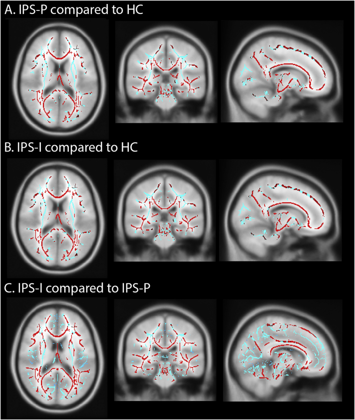 Supplementary Fig. 2