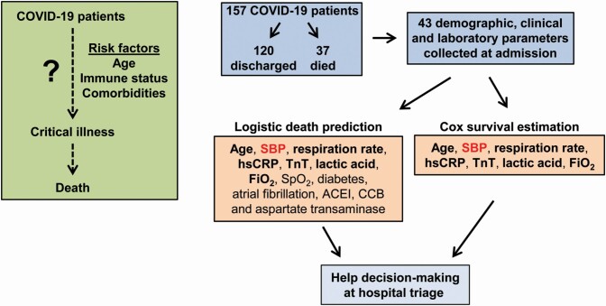 Graphical Abstract