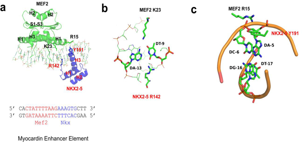 Figure 2.