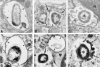 FIG. 6.
