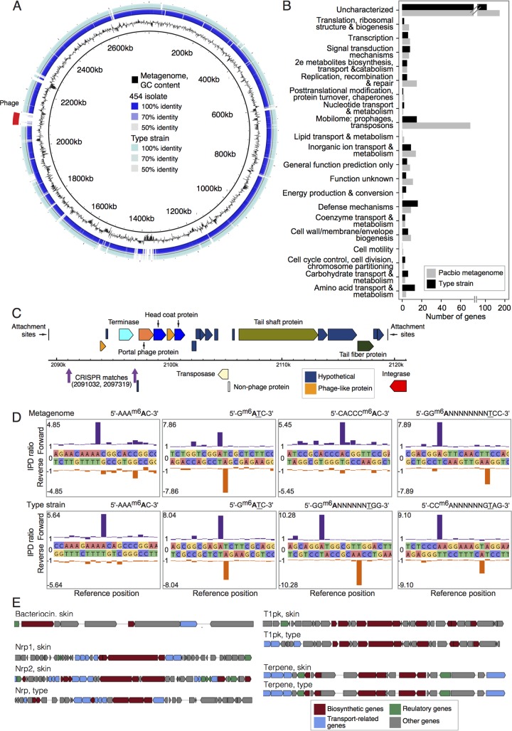 FIG 6 