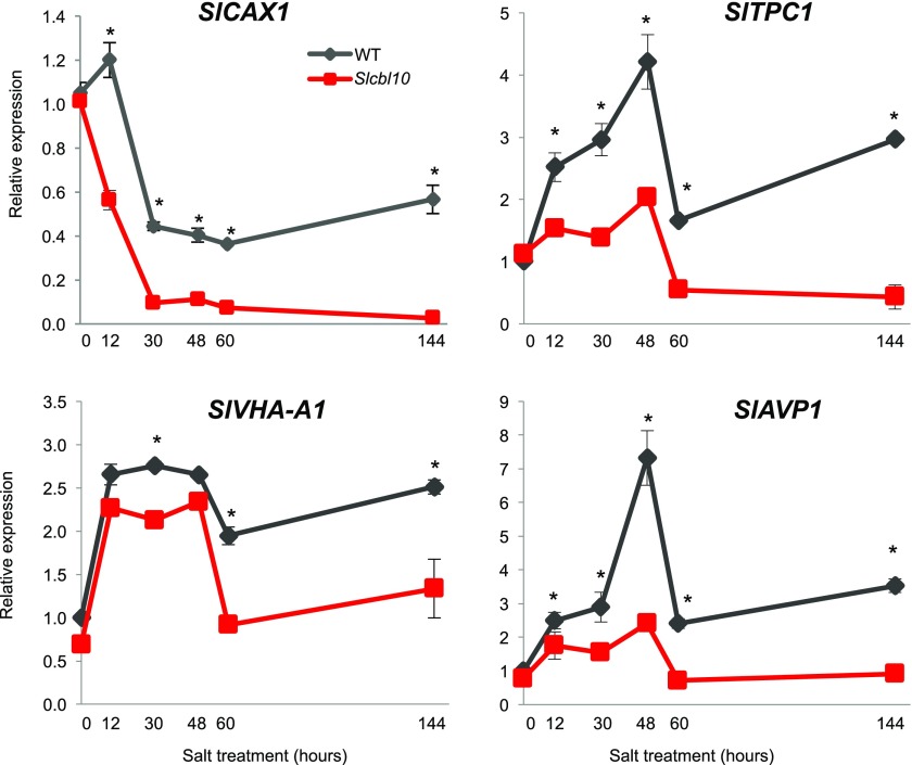 Figure 7.