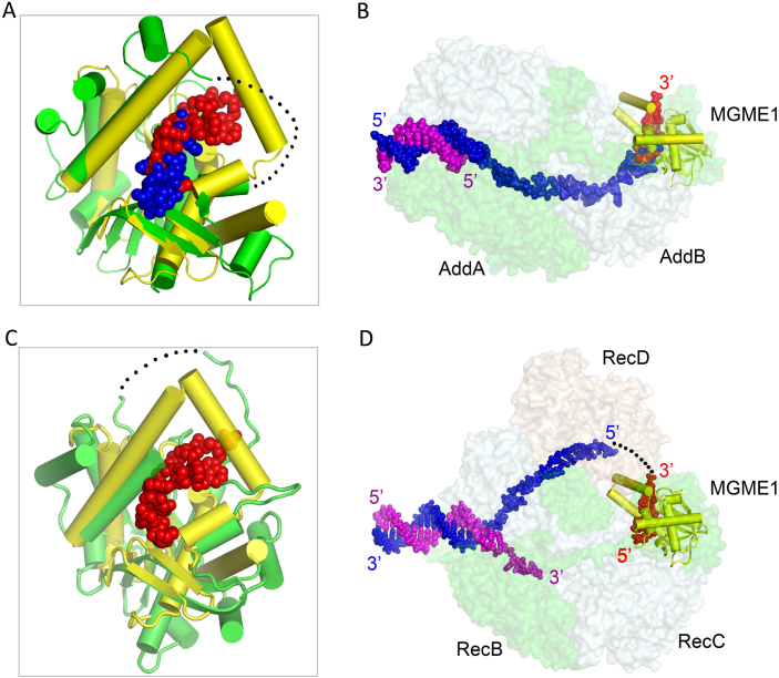 Figure 6.