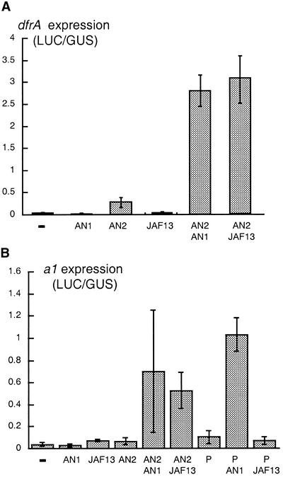 Figure 5.