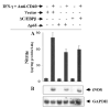 Fig. 8